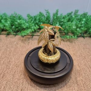 Chậu kim ngân dát vàng 24k - size s